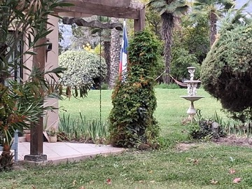 Imagen 11