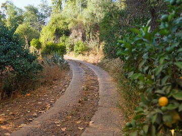 Venta / Terreno / Pirque