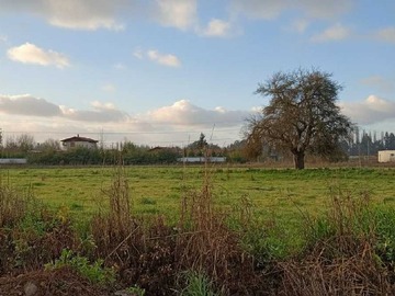 Venta / Terreno / Pirque