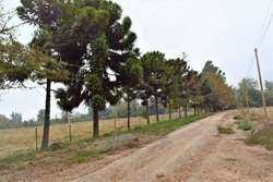Imagen 8