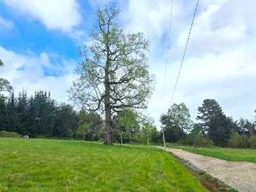 Venta / Terreno / Pitrufquén