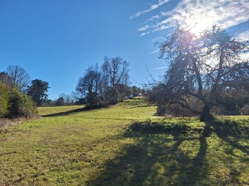 Venta / Terreno / Pitrufquén