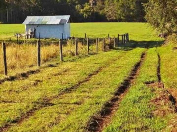 Venta / Terreno / Pitrufquén