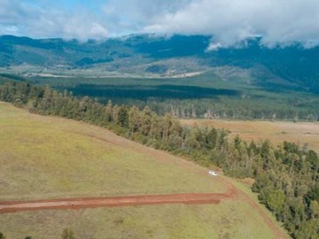 Venta / Terreno / Pitrufquén