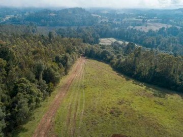 Venta / Terreno / Pitrufquén