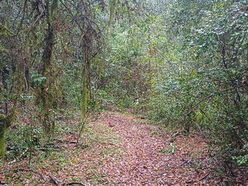 Imagen 5