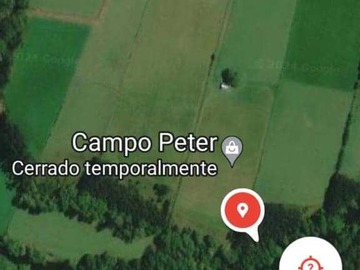 Imagen 5