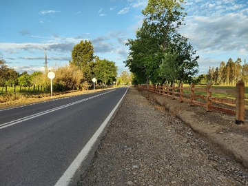 Venta / Terreno / Pitrufquén