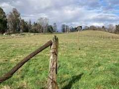 Venta / Terreno / Pitrufquén