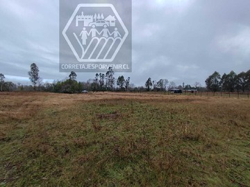 Venta / Terreno / Pitrufquén