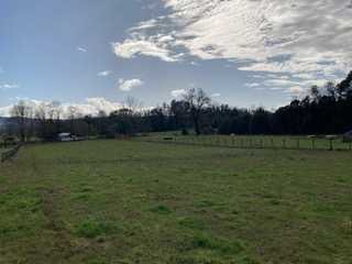 Venta / Terreno / Pitrufquén