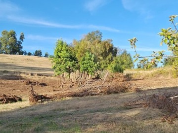 Imagen 17