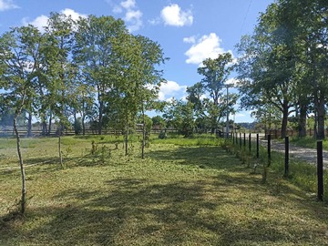 Venta / Terreno / Pitrufquén