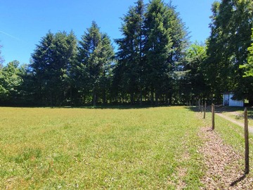 Venta / Terreno / Pitrufquén