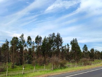 Venta / Terreno / Portezuelo