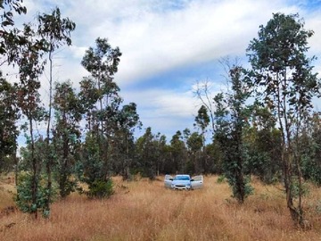 Venta / Terreno / Portezuelo