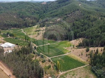 Venta / Terreno / Portezuelo