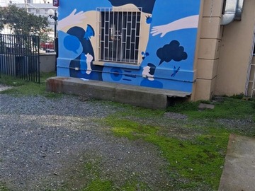 Imagen 3