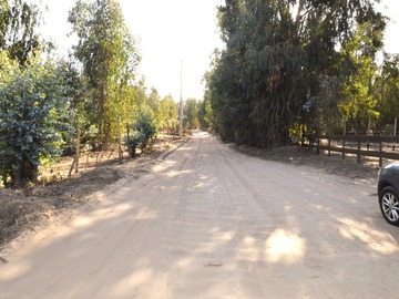 Imagen 14