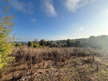 Imagen 9