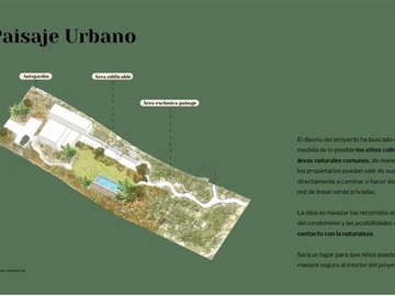 Imagen 13