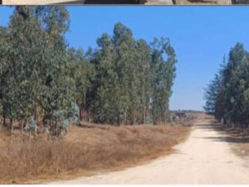 Imagen 6
