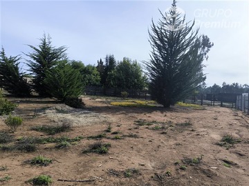 Venta / Terreno / Puchuncaví