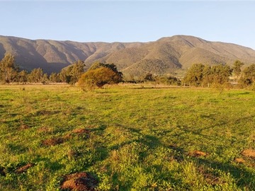 Venta / Terreno / Puchuncaví