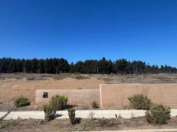 Venta / Terreno / Puchuncaví
