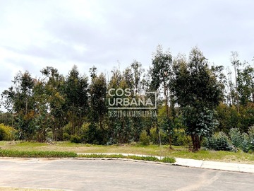 Imagen 16