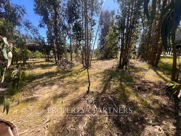 Venta / Terreno / Puchuncaví
