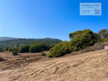 Venta / Terreno / Puchuncaví