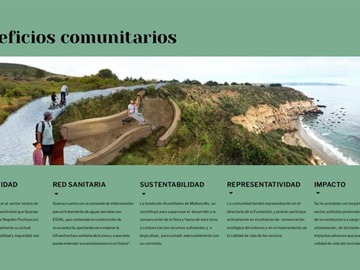 Imagen 20