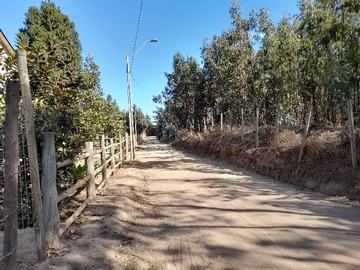 Imagen 20