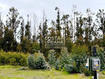 Venta / Terreno / Puchuncaví