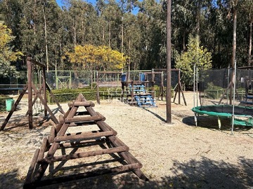 Imagen 26