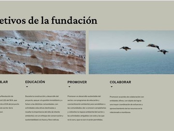 Imagen 9