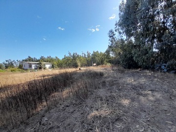 Imagen 9