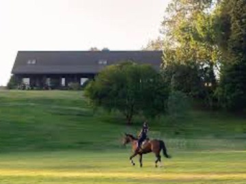 Venta / Terreno / Puchuncaví