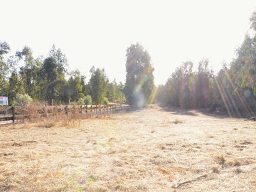 Venta / Terreno / Puchuncaví