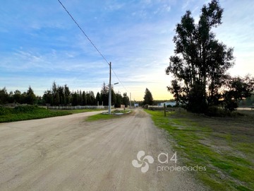 Imagen 18