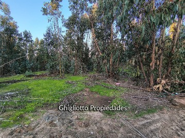 Imagen 9