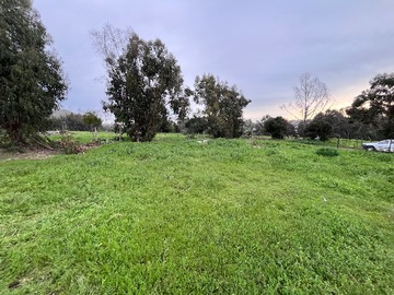 Venta / Terreno / Puchuncaví