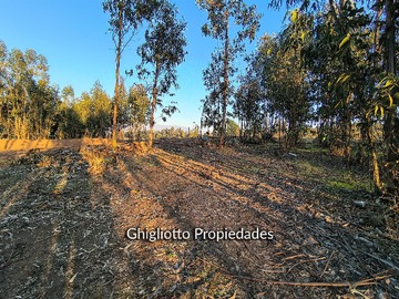 Imagen 11