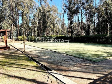 Imagen 7