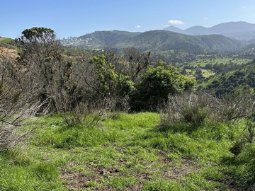 Venta / Terreno / Puchuncaví