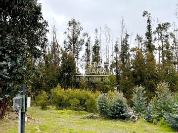 Venta / Terreno / Puchuncaví