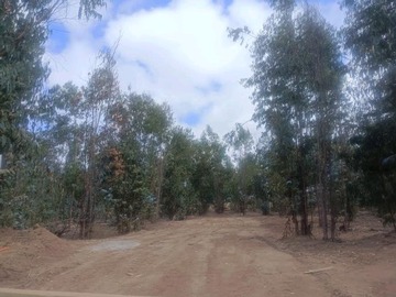 Venta / Terreno / Puchuncaví