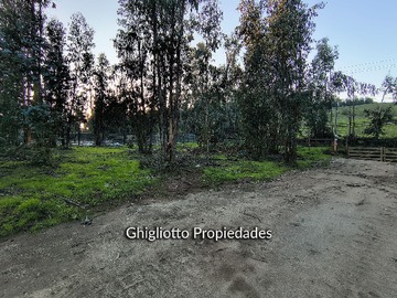 Imagen 5