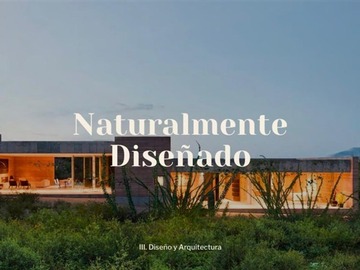 Imagen 10